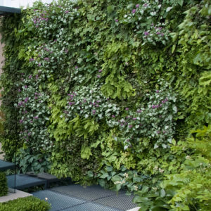 Groen balkon
