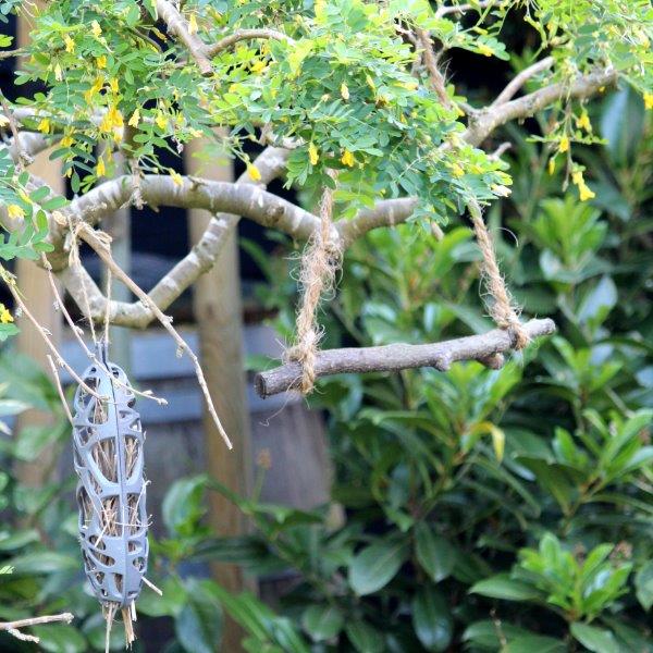 Een vogeltuin met schommel