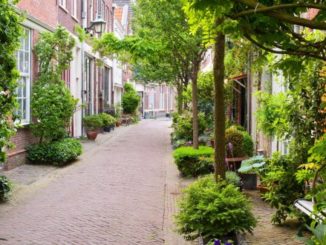 Groene voortuin groene straat