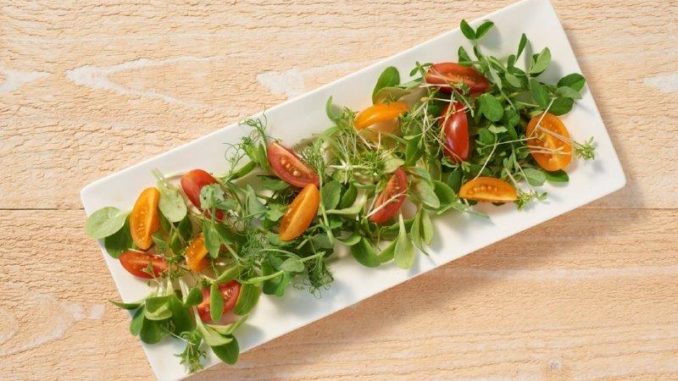 Kiemgroente in salades - Tuinhappy