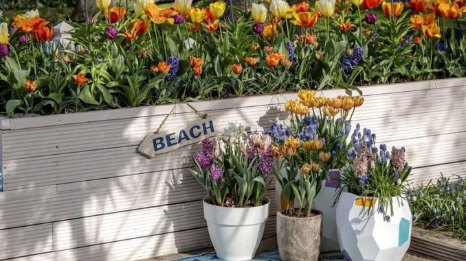 Plantenbak vol met bloembollen