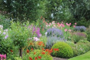 Kleurrijke plantenborder - Tuinhappy tuinblogger