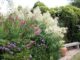 Tuinborder - aanplanten - Tuinhappy.nl