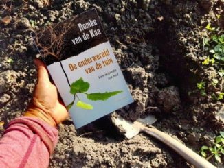 De onderwereld van de tuin - Romke v.d. Kaa