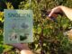 Snoeien van A tot Z - tuinhappy - tuinblogger