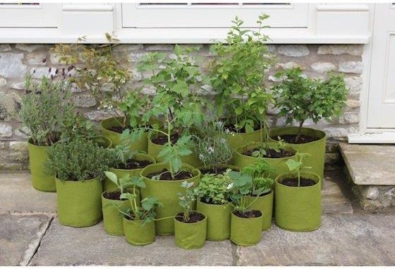 Vigoroot plantzakken - onderdeel van je tuinplannen