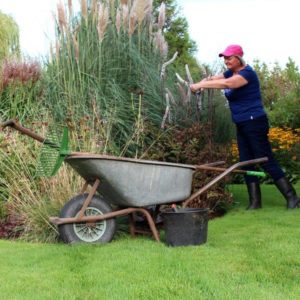 Tuinieren kruiwagen gras siergrassen emmer schoffel