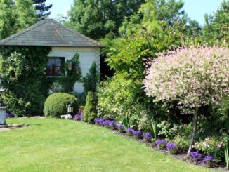 Tuinhuis in groene tuin - tuinblogger - tuinhappy