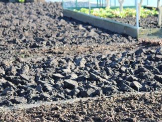 Tuin spitten of juist niet