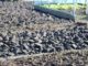 Tuin spitten of juist niet