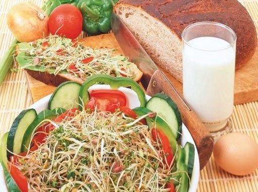 Salade met spruitgroente Alfalfa
