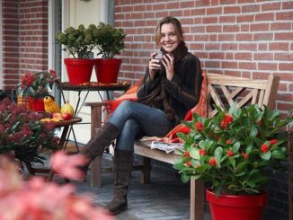 Tuinbankje in de voortuin met potten