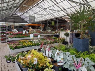 Tuincentrum De Mooij in Rijnsburg