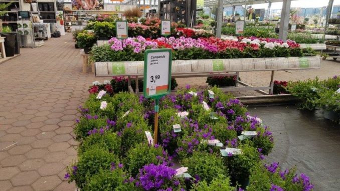 Tuincentrum de Mooij Rijnsburg