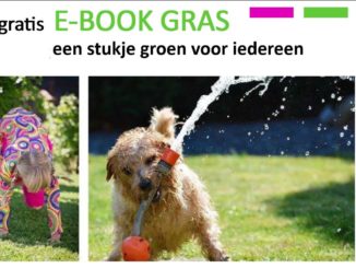 E-book gras