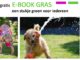 E-book gras