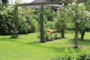 Snel groen gazon