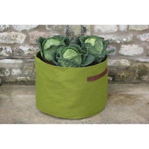 Mini moestuin in plantzak van 28 liter