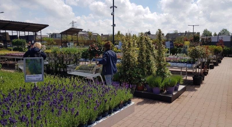 Tuincentrum De Bosrand Oegstgeest