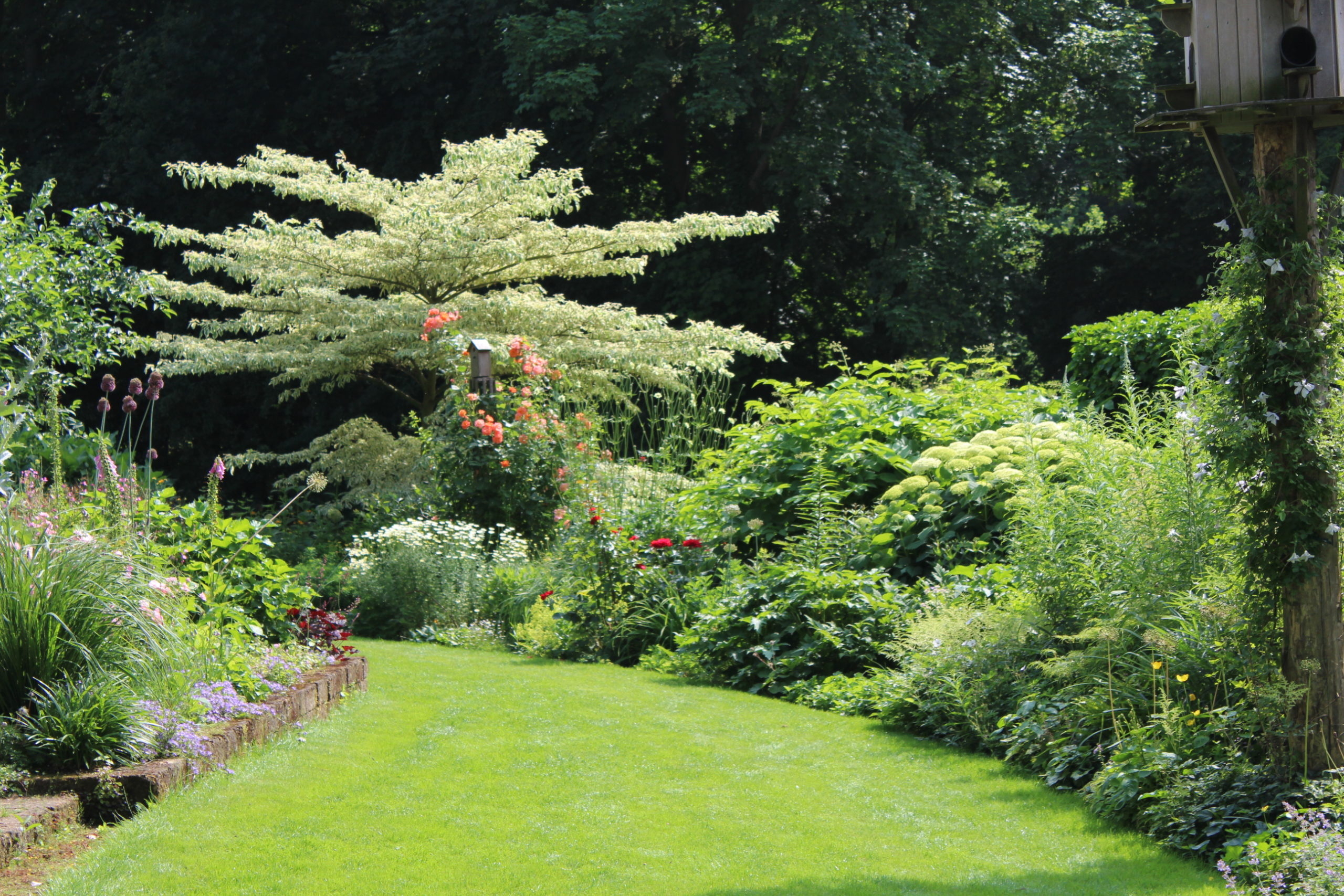 Tuin bemesten hoe waarom wanneer tips van tuinblogger TuinHappy.nl