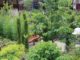 Groene tuin met organische vormen