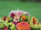 Bloementaart uit eigen tuin