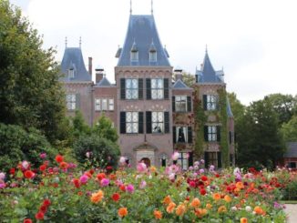 Showtuin dahlia bij Kasteel Keukenhof