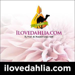 ilovedahlia.com