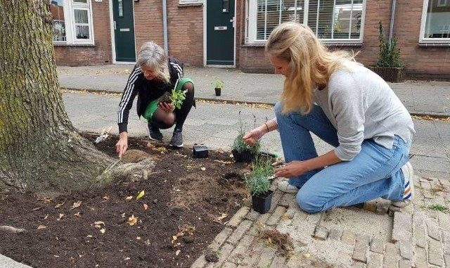 Boomspiegeltuin Utrecht Boomspiegeltuin Utrecht