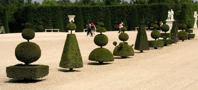 Topiary - vormsnoei