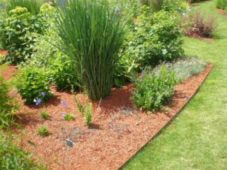 Randen als afscheiding tussen gras en plantenborder