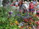 Bloem & Tuin Groenexpo 2023