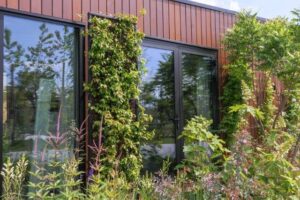 Muurbekleding - vertical gardening zorgt voor een koel huis
