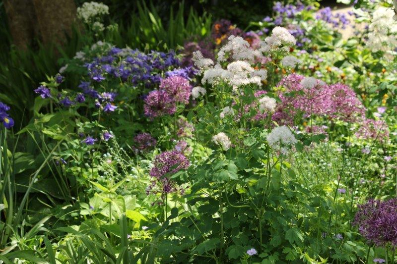 Diversiteit aan planten - Tuinhappy.nl