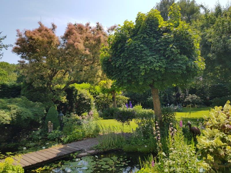 Tuin met bomen, gazon en vaste planten (Foto: Tuinhappy.nl)