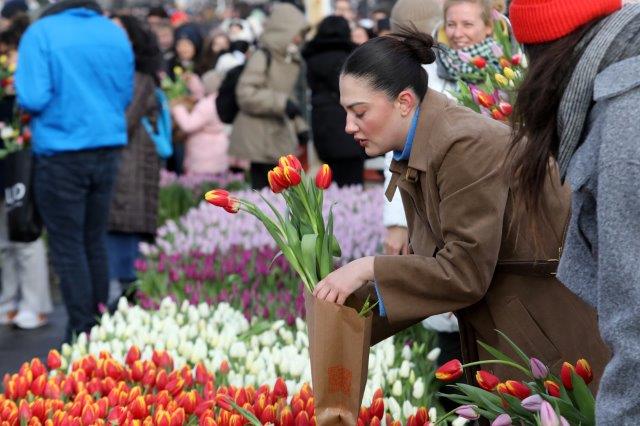 Zelf tulpen plukken op Nationale Tulpendag 2025