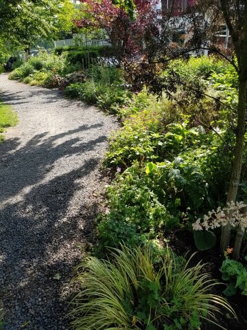 Tuinhappy.nl - Schaduwgedeelte