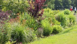 Tuinhappy.nl - Tuin Clubhuis De Zeeger