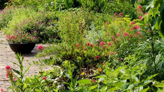 Tuinhappy.nl - Vaste planten Tuin Zeegersloot
