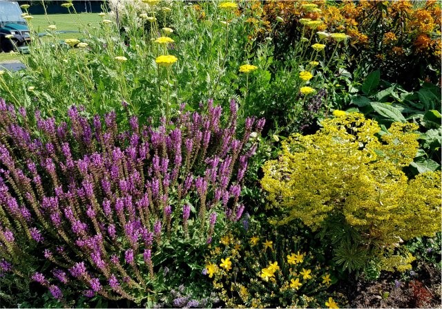 Tuinhappy.nl - Vaste plantenborder Golfbaan Zeegersloot