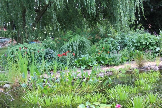 Tuinhappy.nl - tuin met vaste planten en bomen