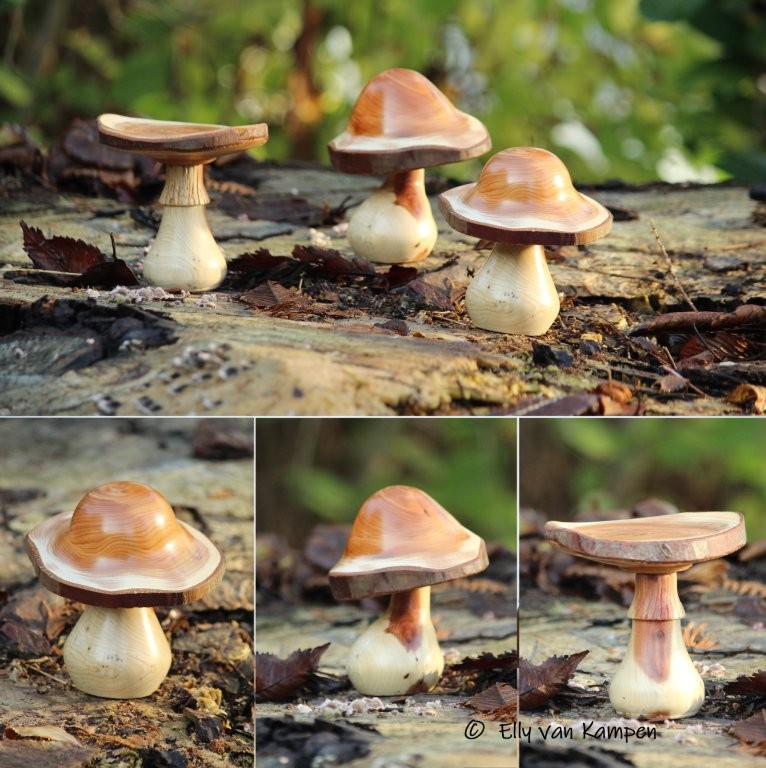 Houtdraaien - paddestoel - woodturning - mushroom