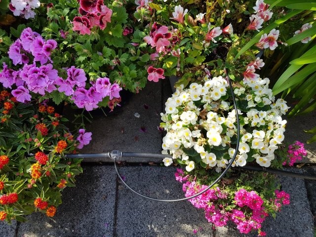 Druppel systeem (Tuinhappy.nl)
