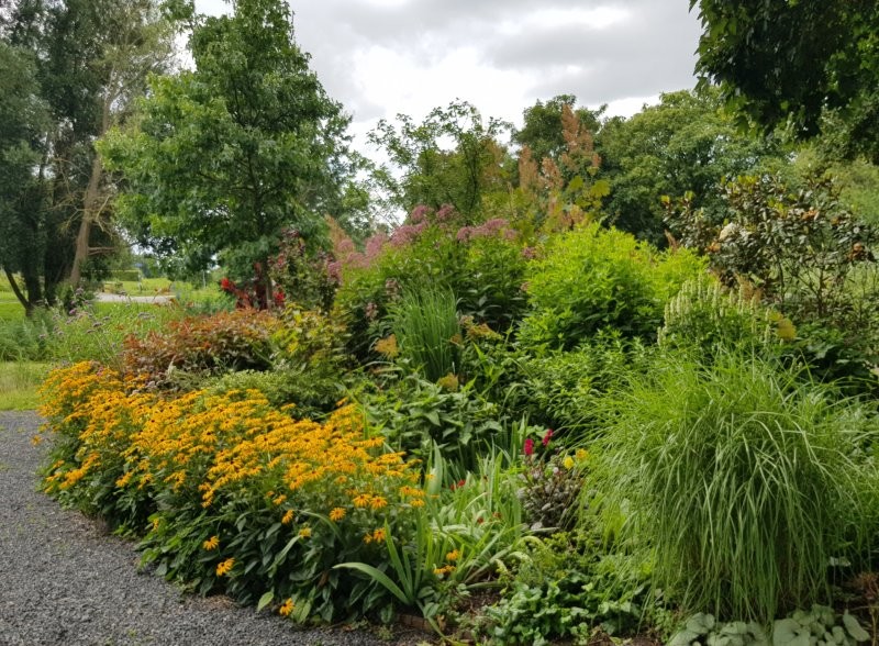 Vaste planten border - Tuinhappy.nl